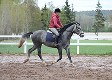 talli Wist