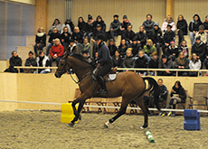 esteratsastus